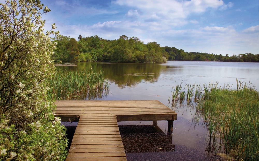 Bolam Lake Country Park