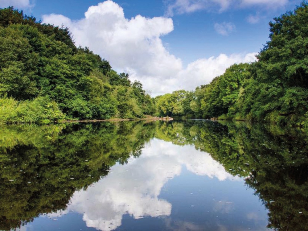 Lake at Low Barns Nature Reserve