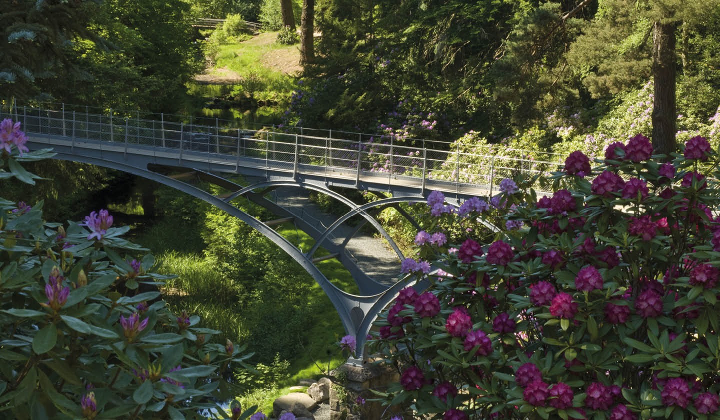 A view of the Iron Bridge from the flowering Rock Garden