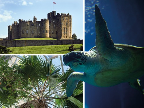 What to Do Near the Coast When it's Raining