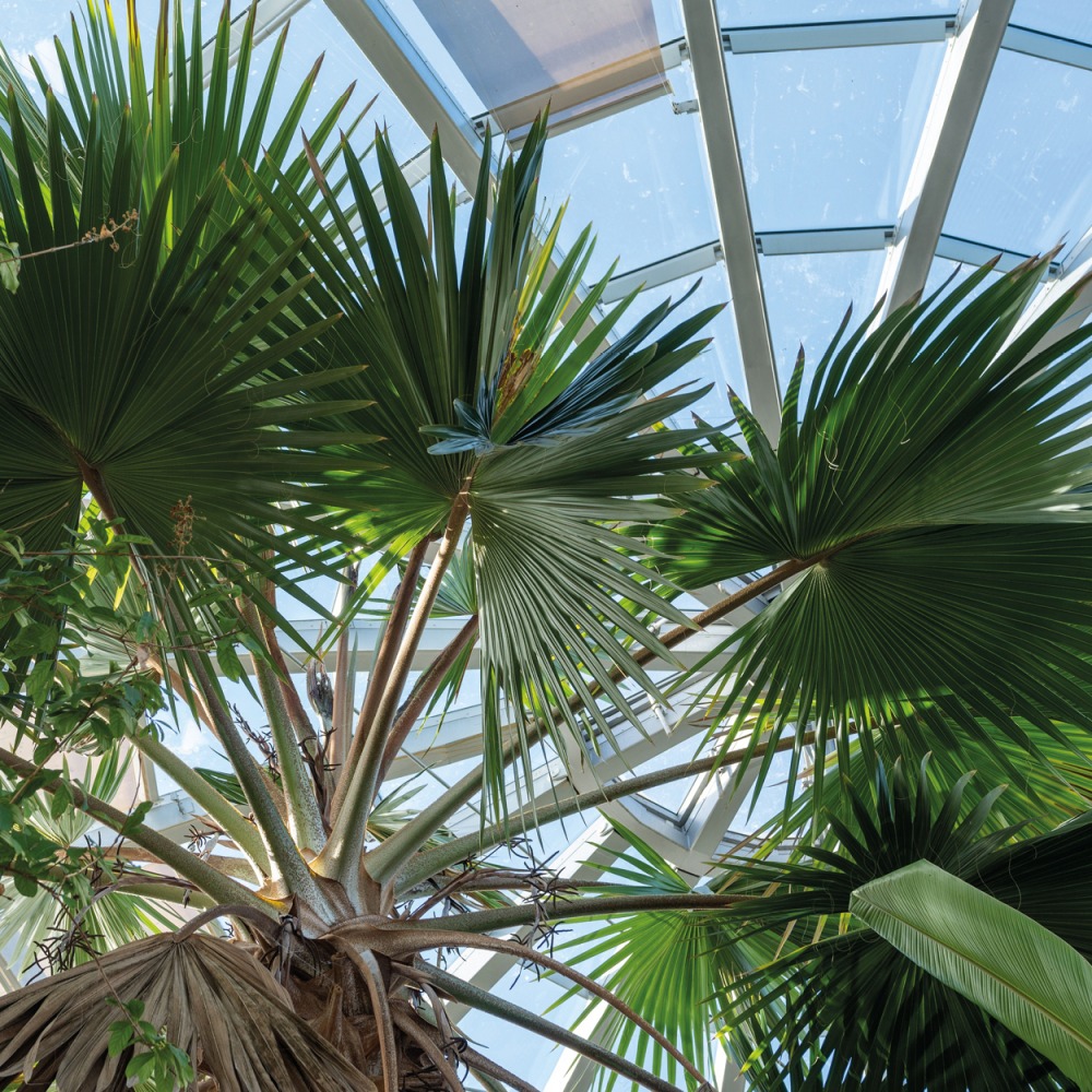 Sunderland Museum & Winter Gardens