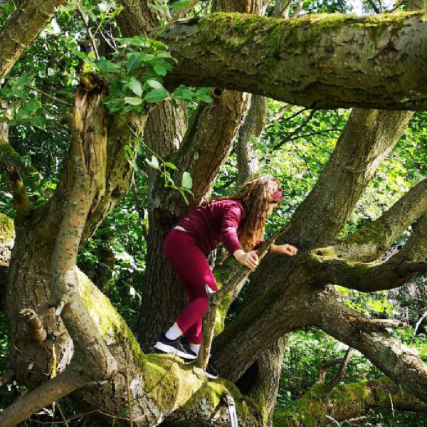 Plessey Woods Country Park