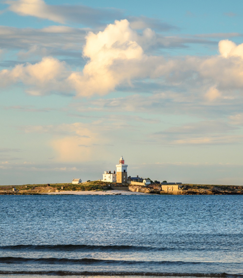 Coquet Island