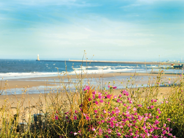 Seaburn Beach
