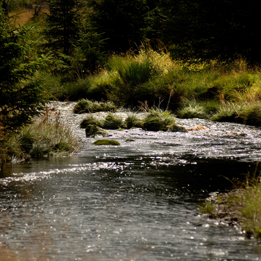 Bakethin Nature Reserve