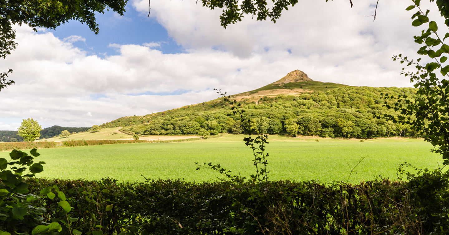 Roseberry Topping Woodland Wildlife Walk