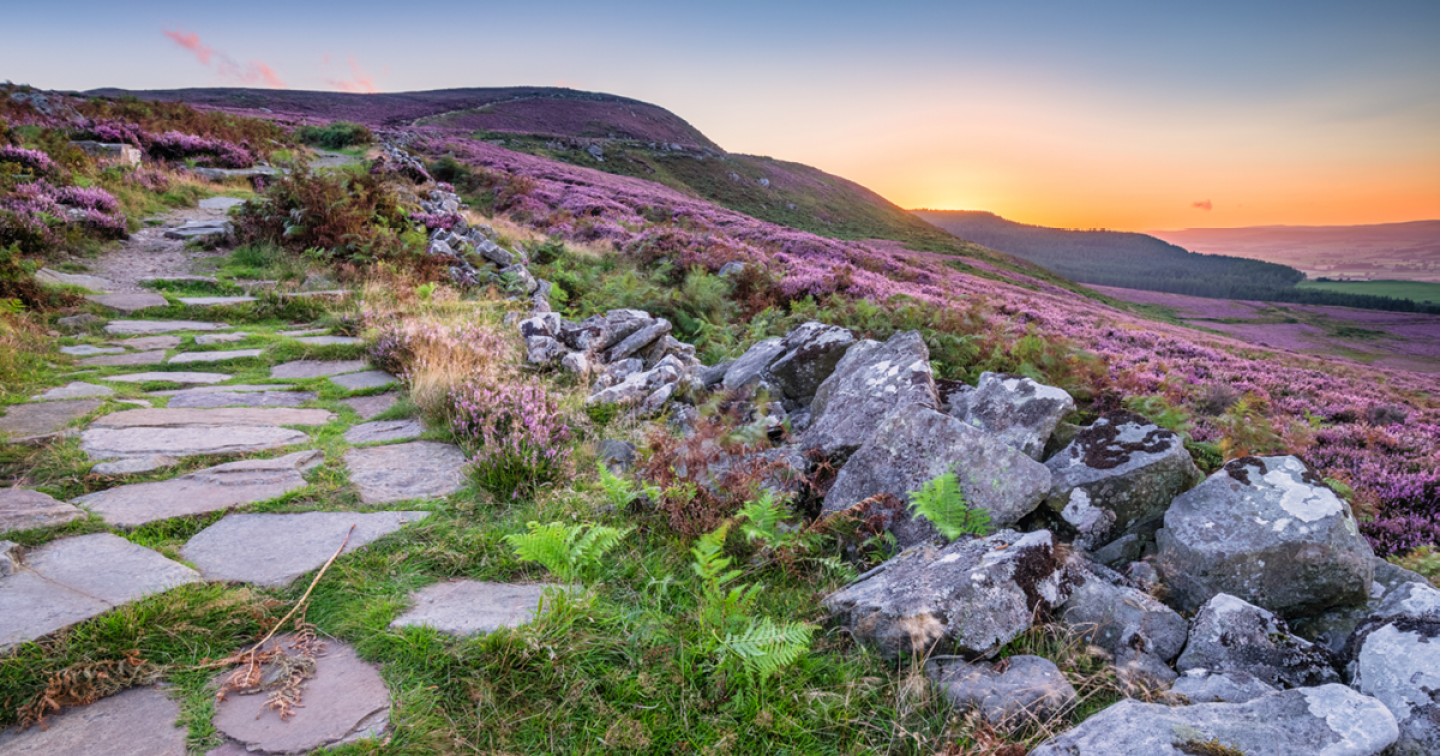 Simonside Family Walk