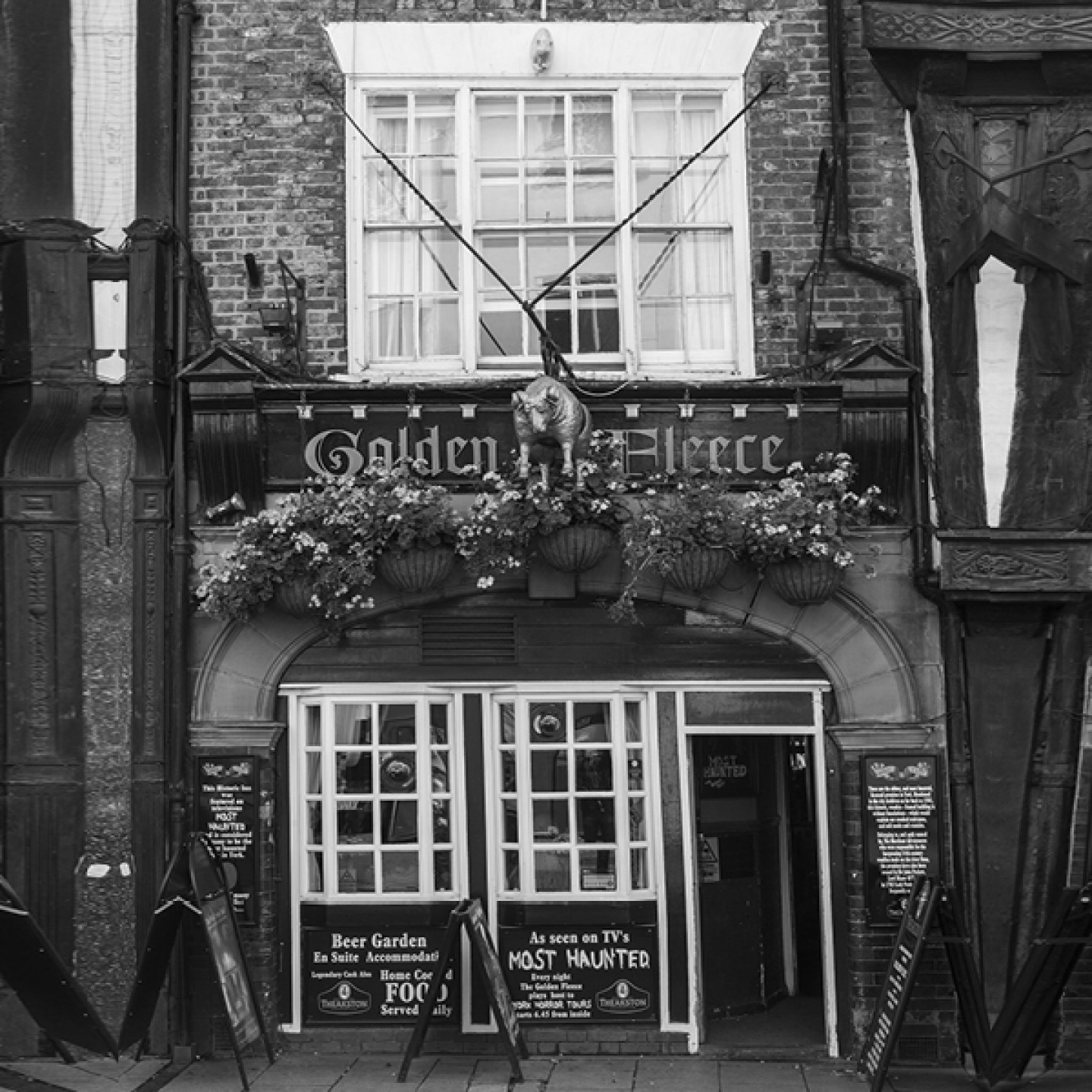 Golden Fleece