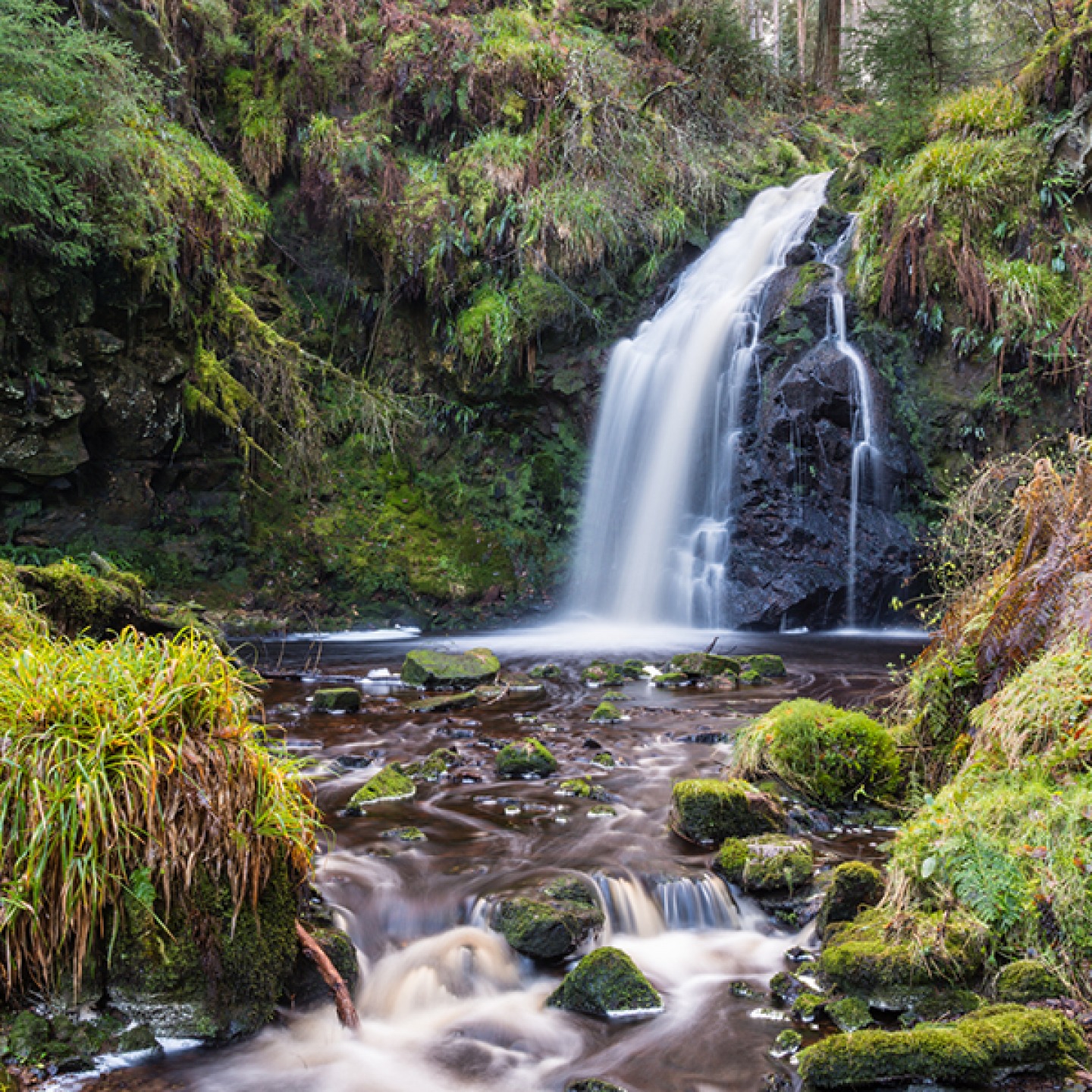 Hindhope Linn
