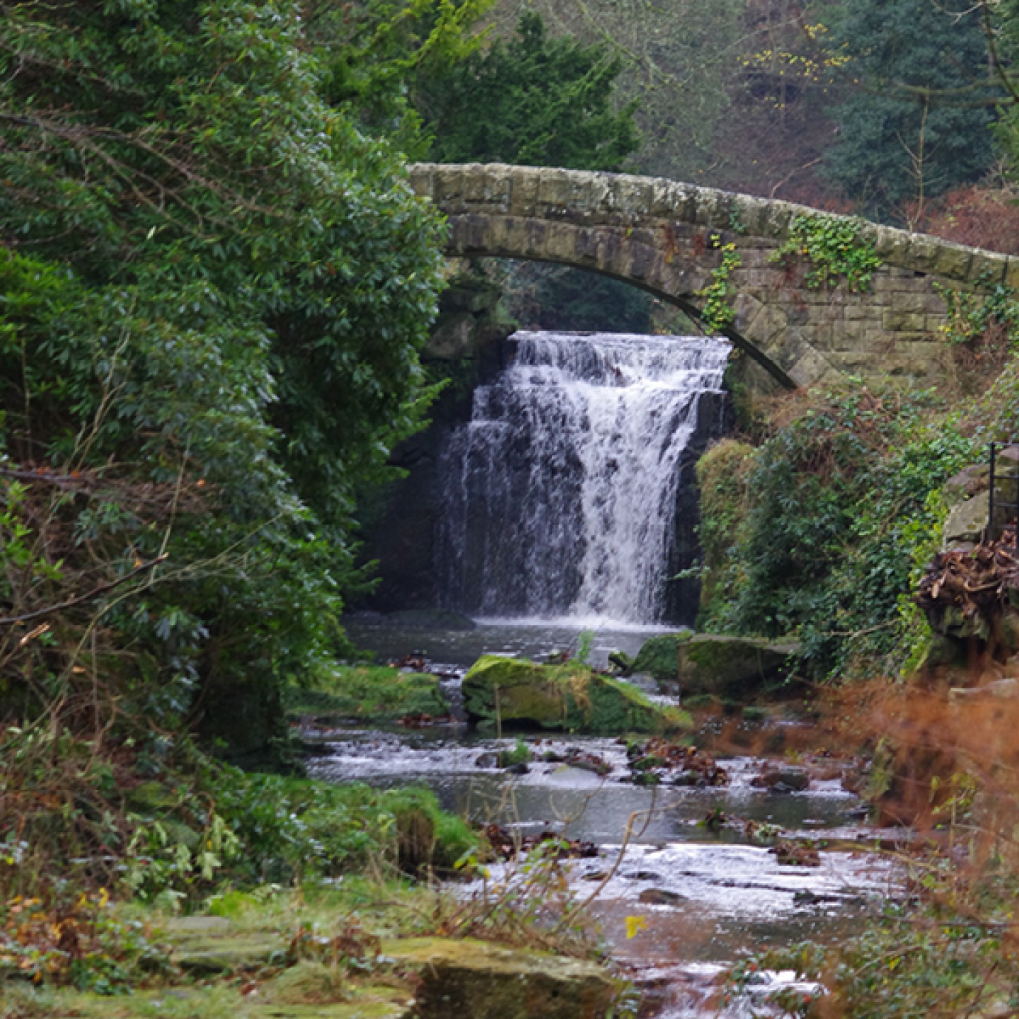 Jesmond Dene Waterfall