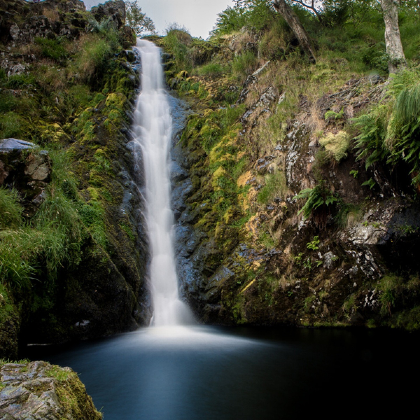Linhope Spout