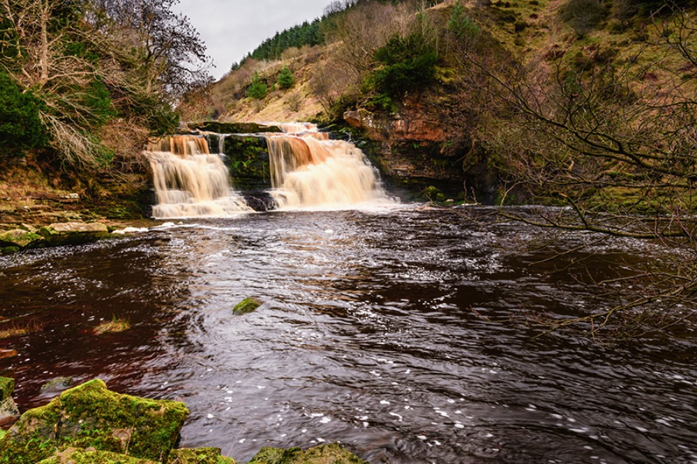 Crammel Linn