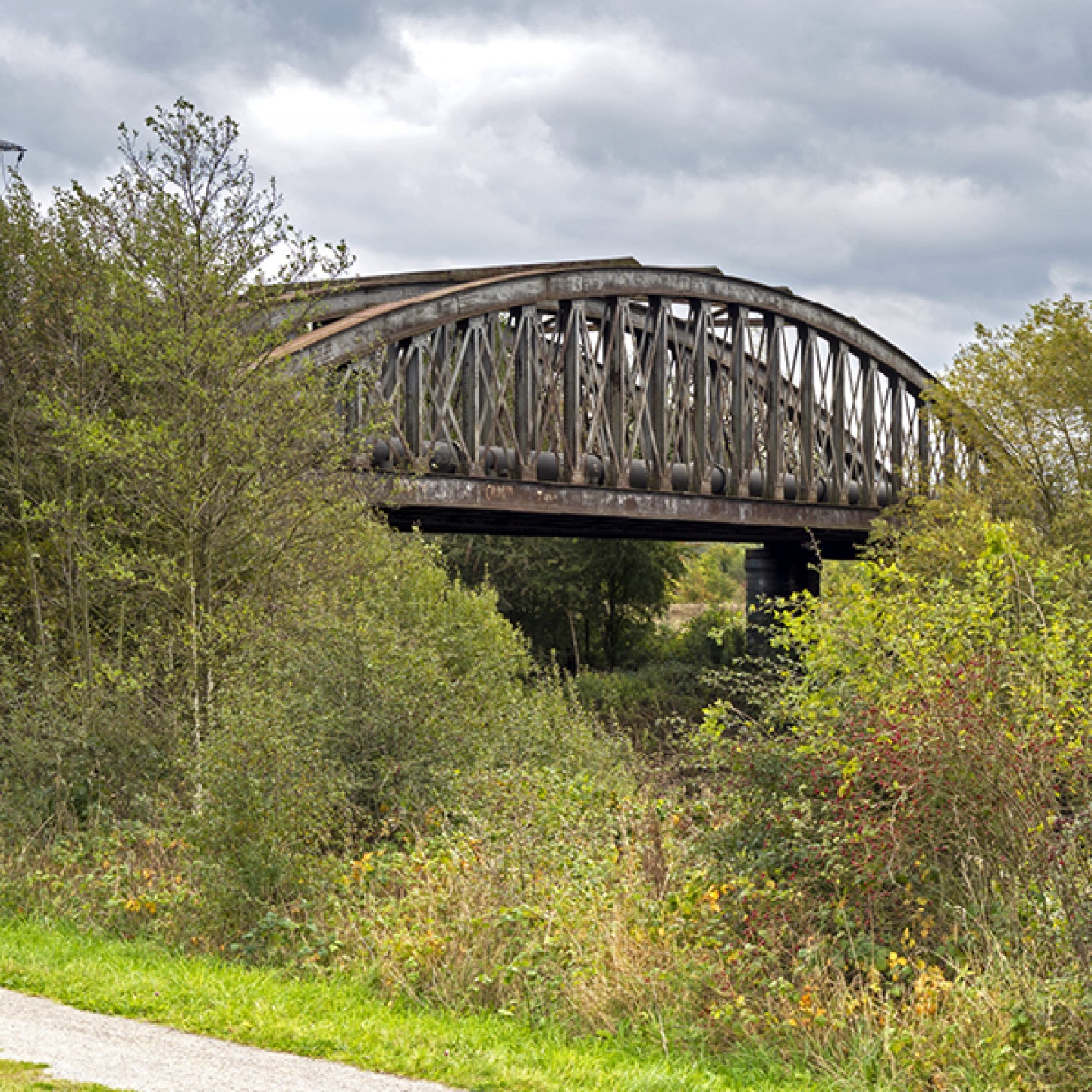 View of a disused railway bridge in Fairburn Ings nature reserve near Castleford