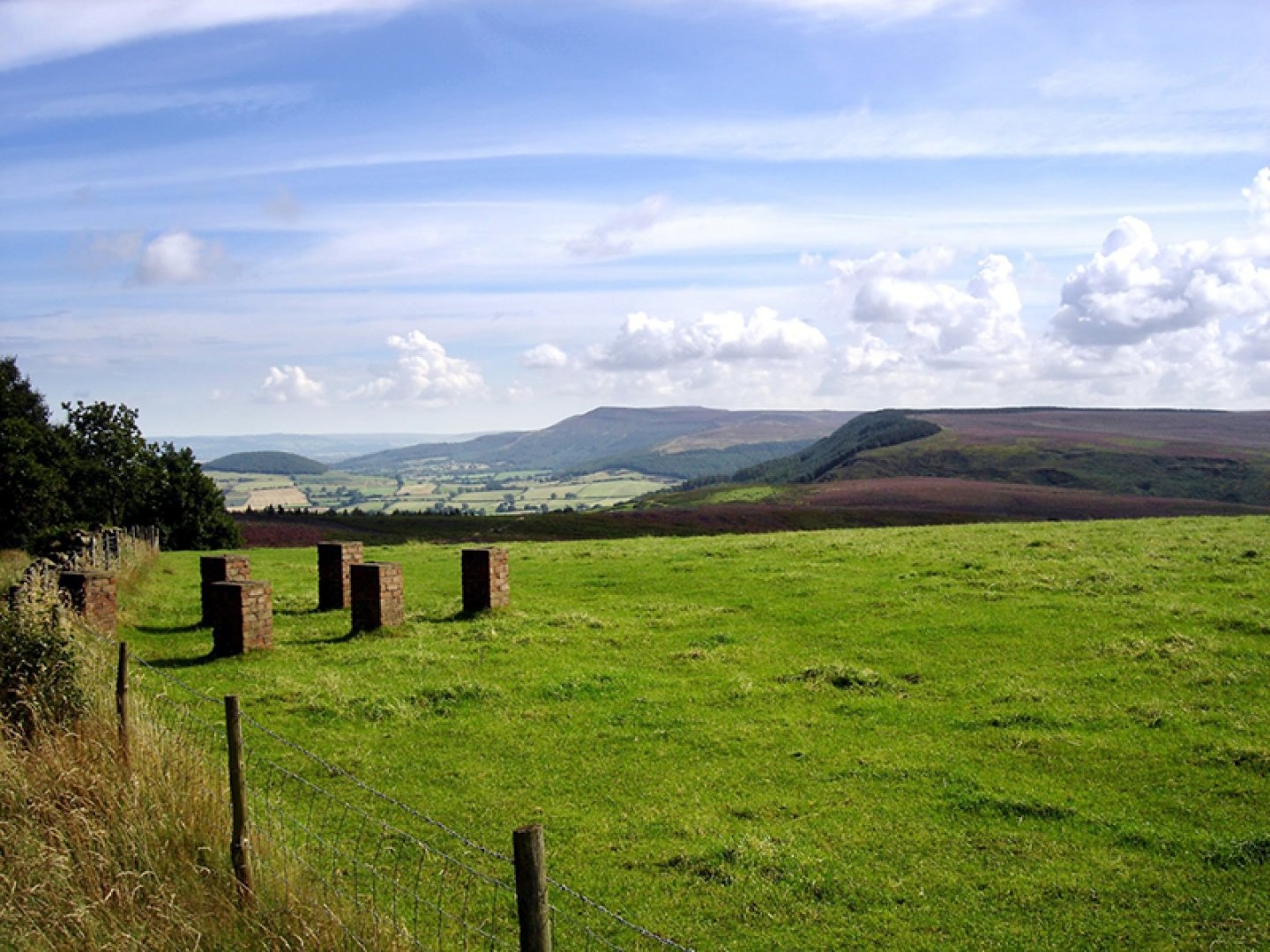 Scarth Wood Moor