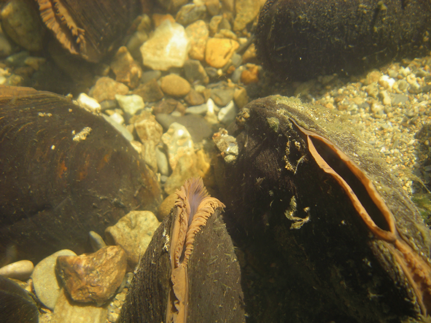 Several adults © Environment Agency