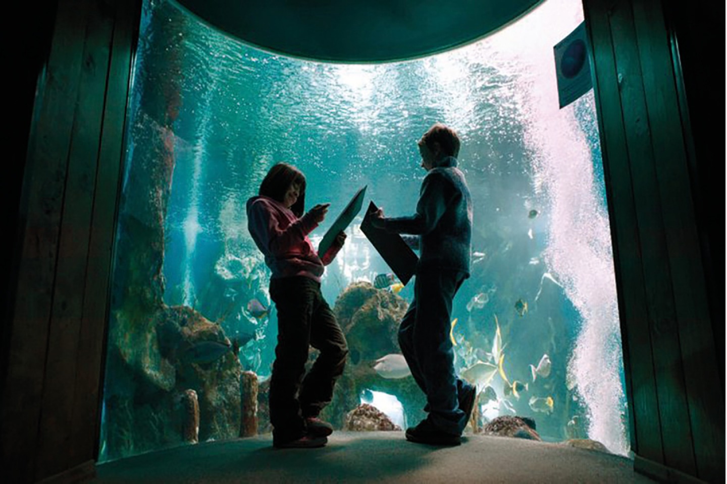 Tynemouth Aquarium