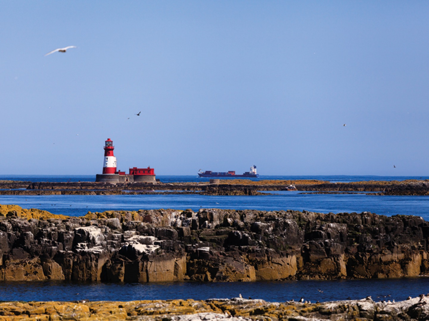 The Farne Islands