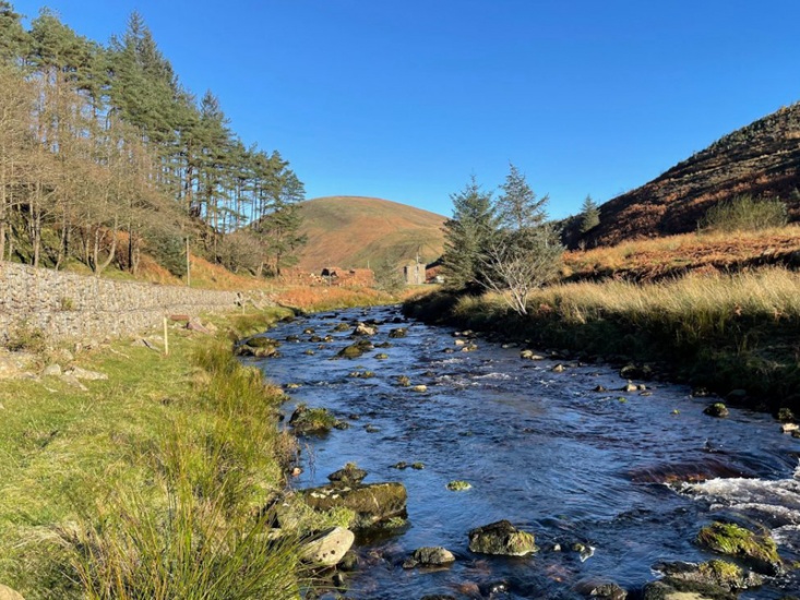 Why You Should Spend a Weekend in The Forest of Bowland