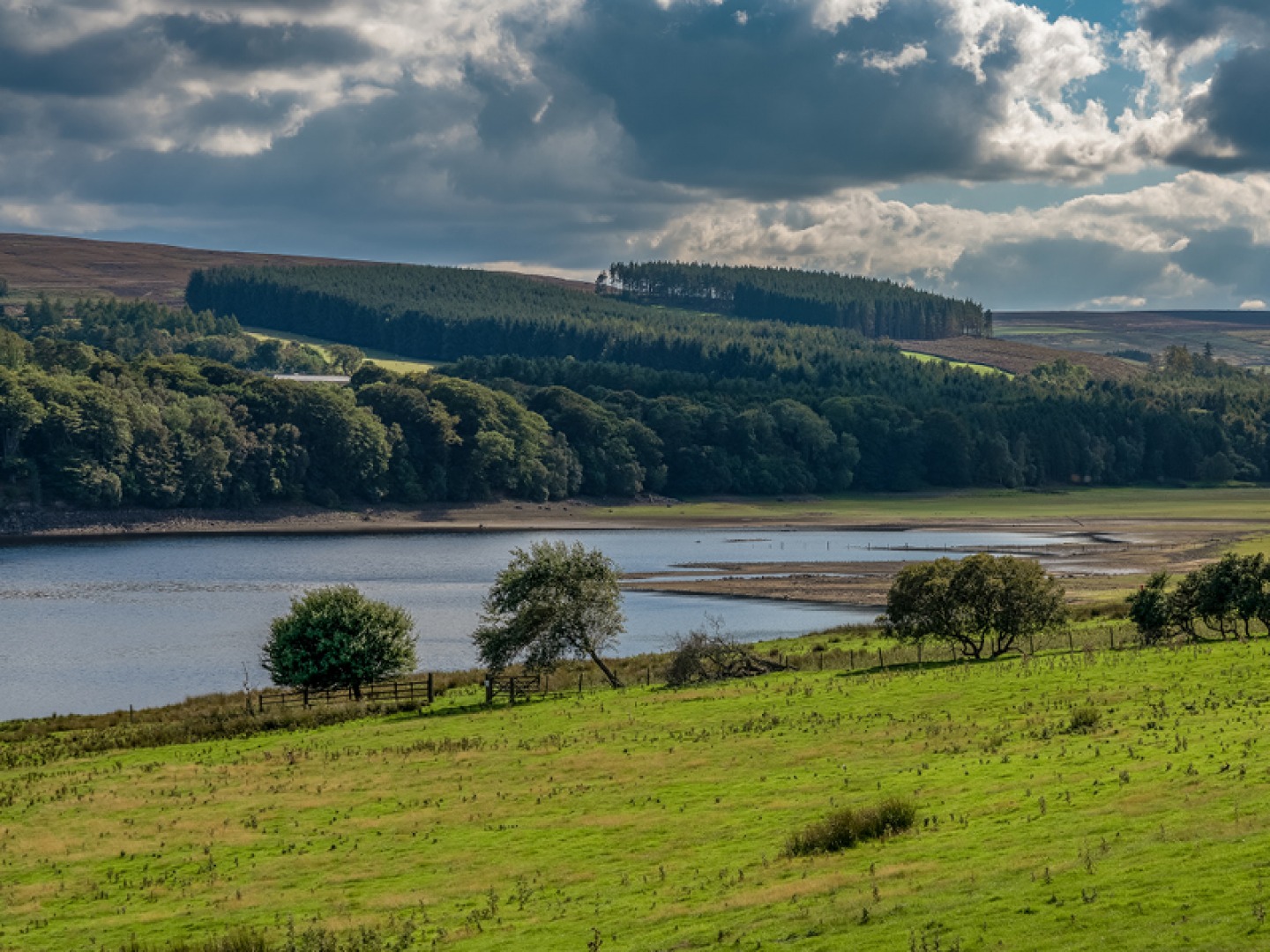 Derwent Reservoir 