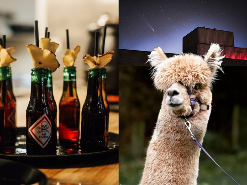 Unusual Activities to Shake Up Your Dating This Valentine's Day