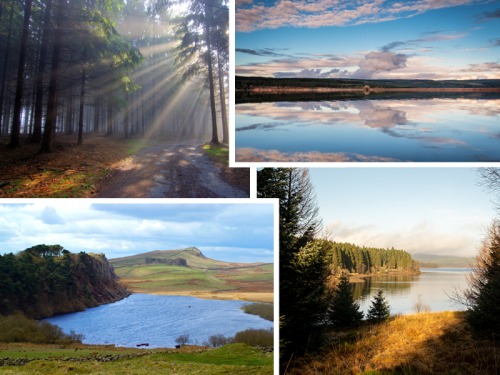 Discover Northumberland's Newest Walking Trails
