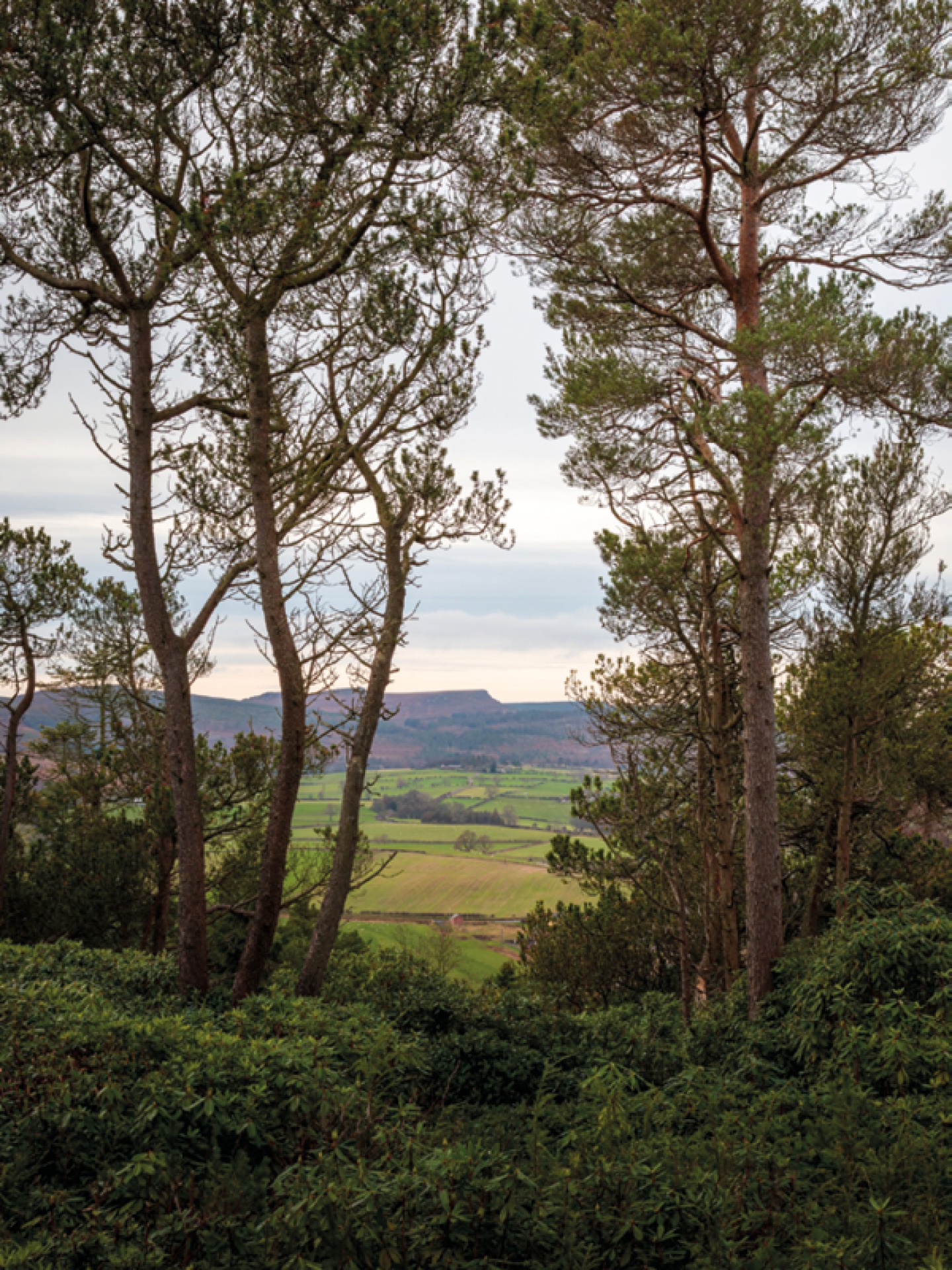 View from Top of Grounds