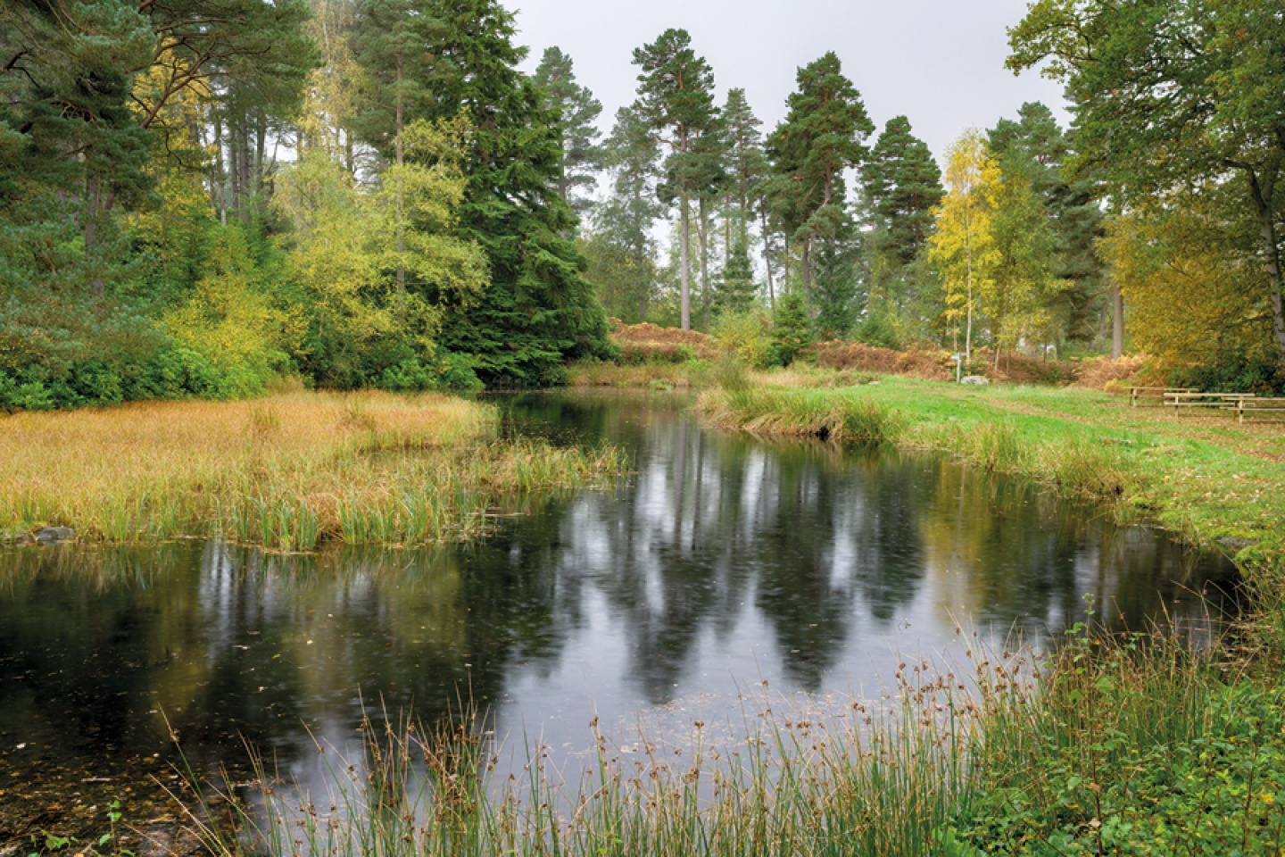 Slipper Lake