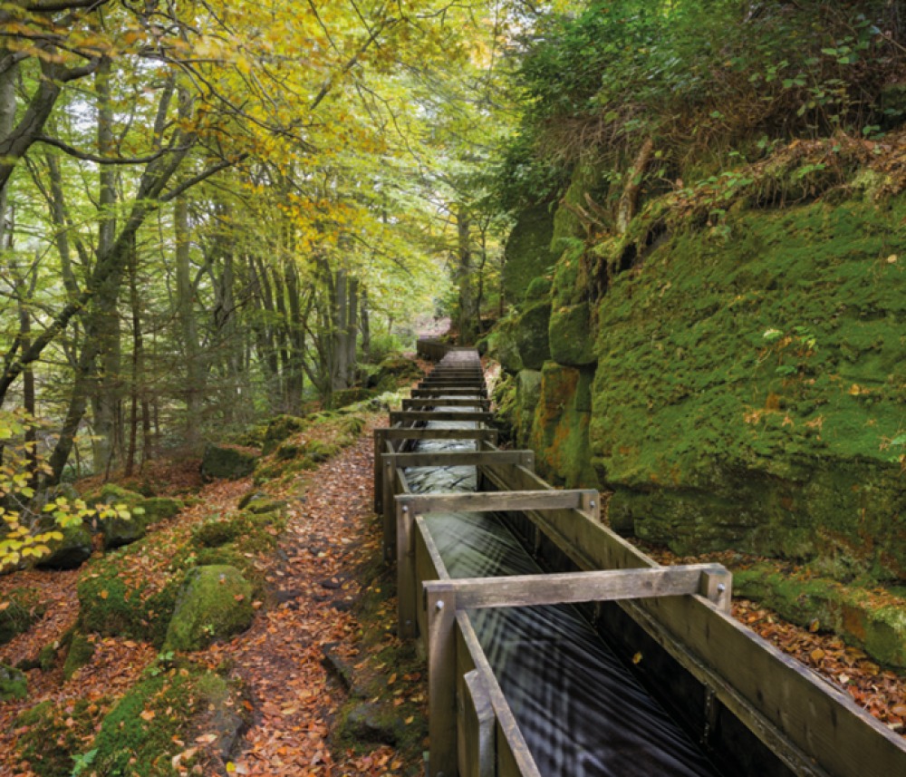Timber Flume