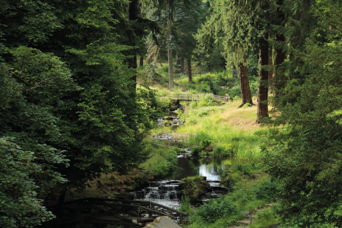 Debden Burn