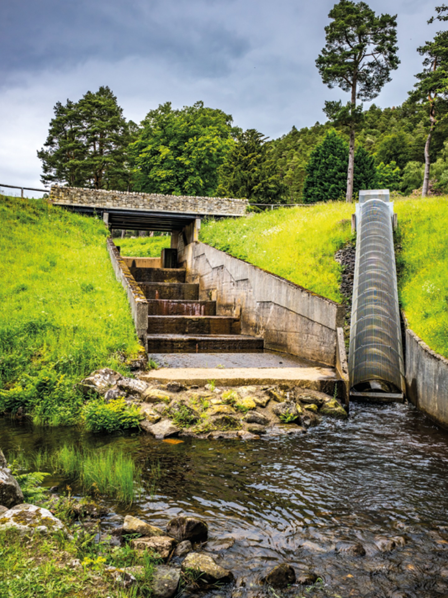 Archimedes Screw
