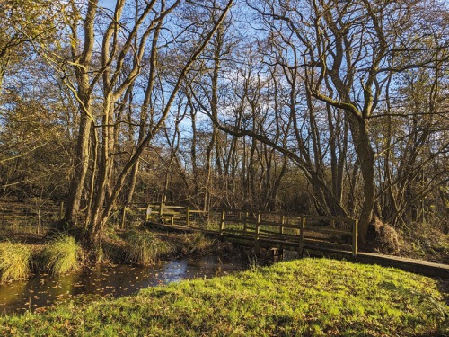 Celebrate 80 Years of Askham Bog and the Yorkshire Wildlife Trust