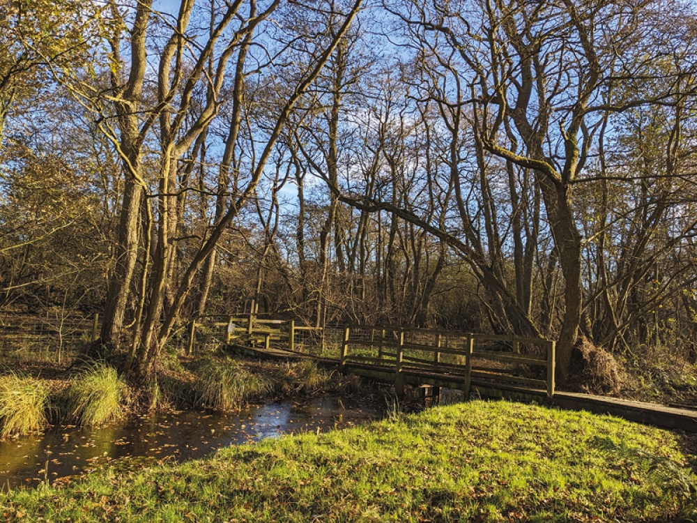 Celebrate 80 Years of Askham Bog and the Yorkshire Wildlife Trust