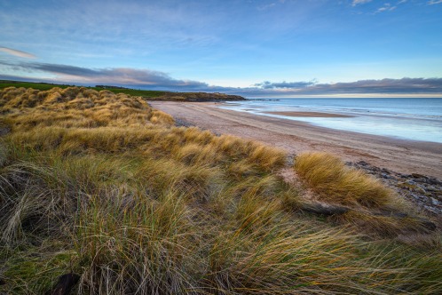 Berwick and Holy Island