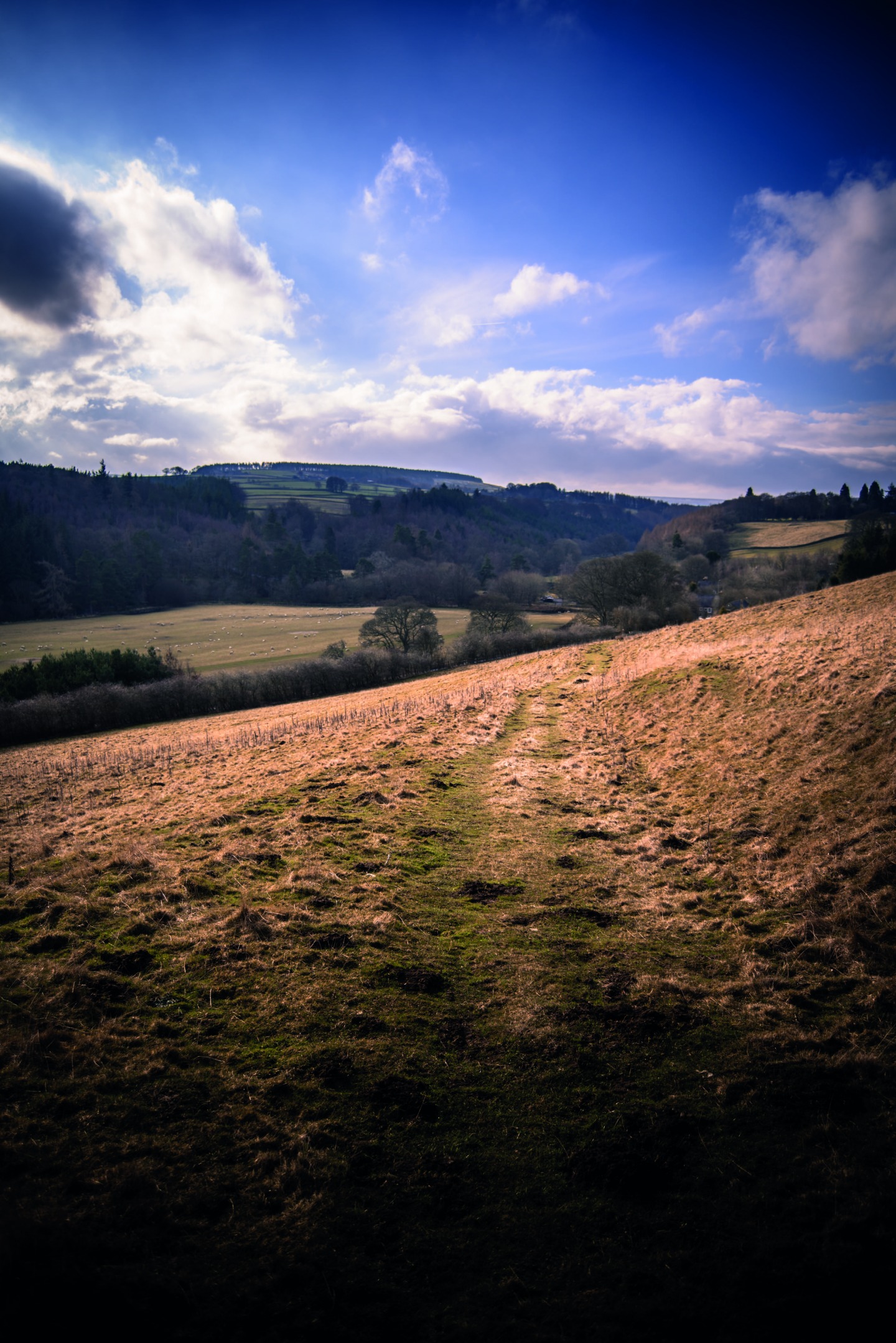 Blanchland, Dan May