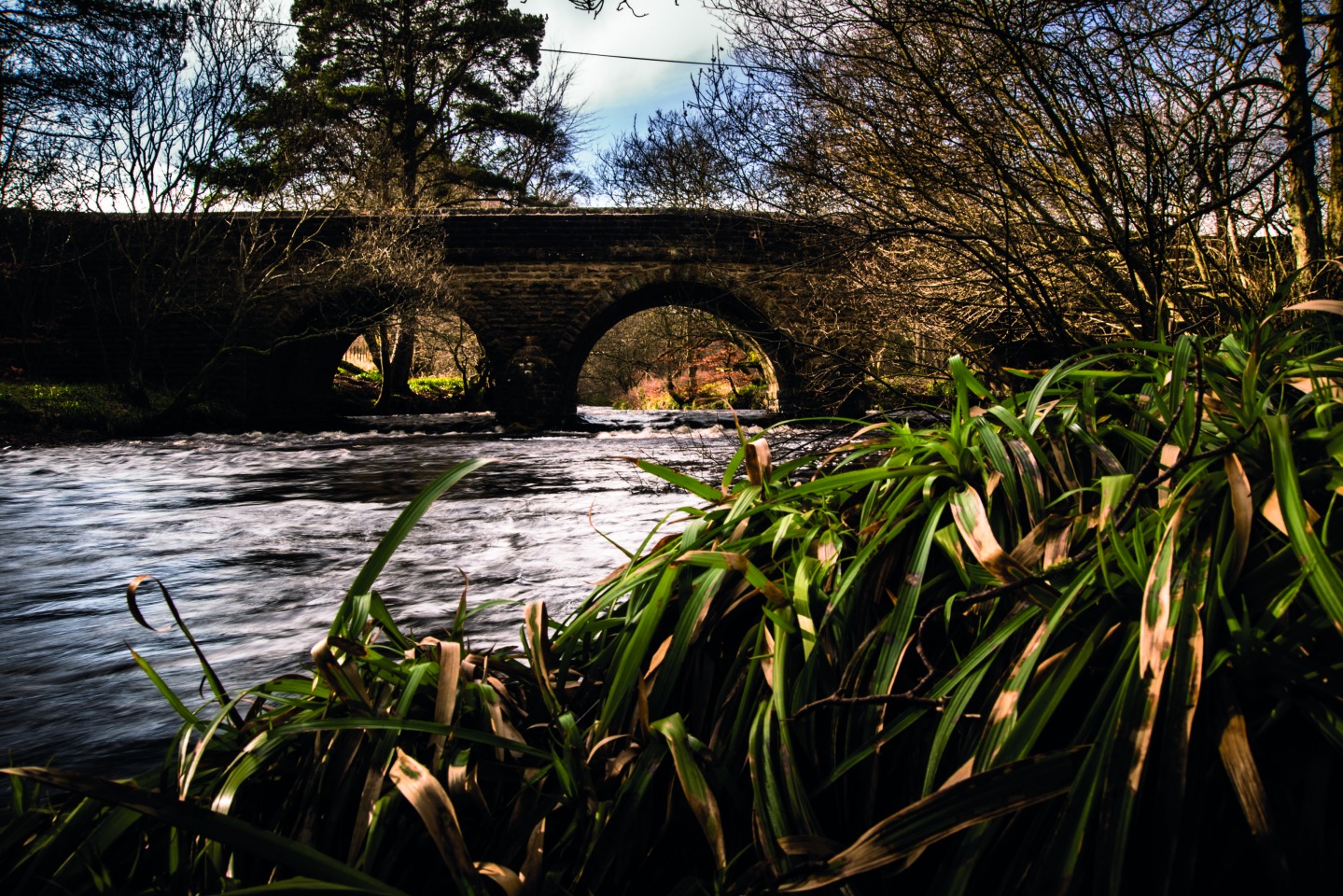 Blanchland, Dan May