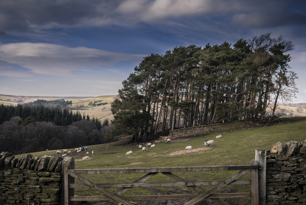 Blanchland, Dan May
