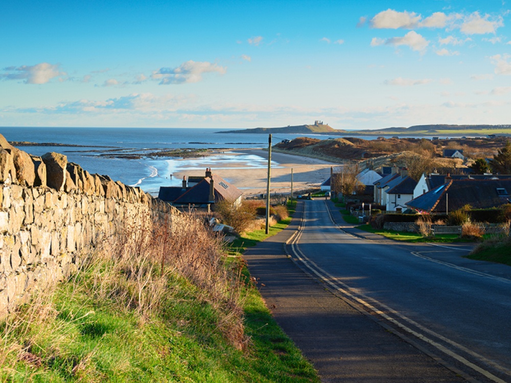 Low Newton