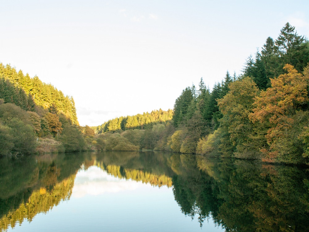 Autumn Adventures Await at Dalby Forest