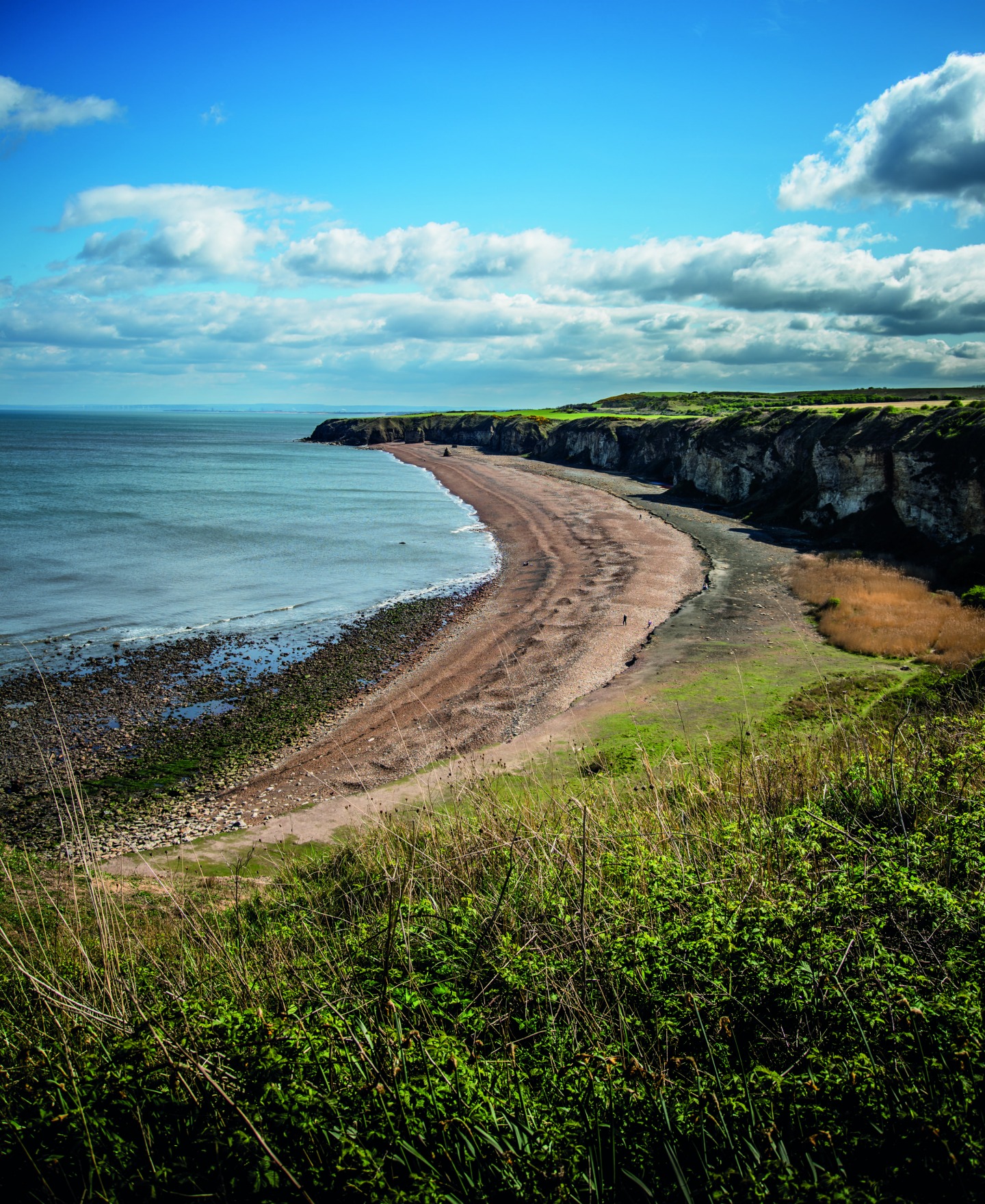 Durham Heritage Coast, Dan May