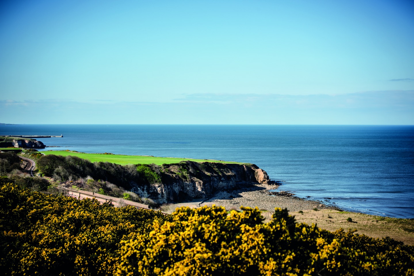 Durham Heritage Coast, Dan May