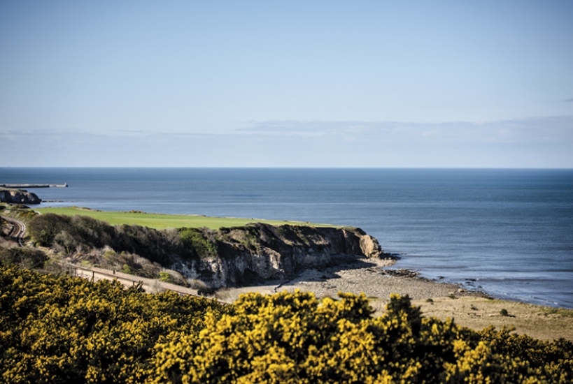 Durham Heritage Coast, Dan May
