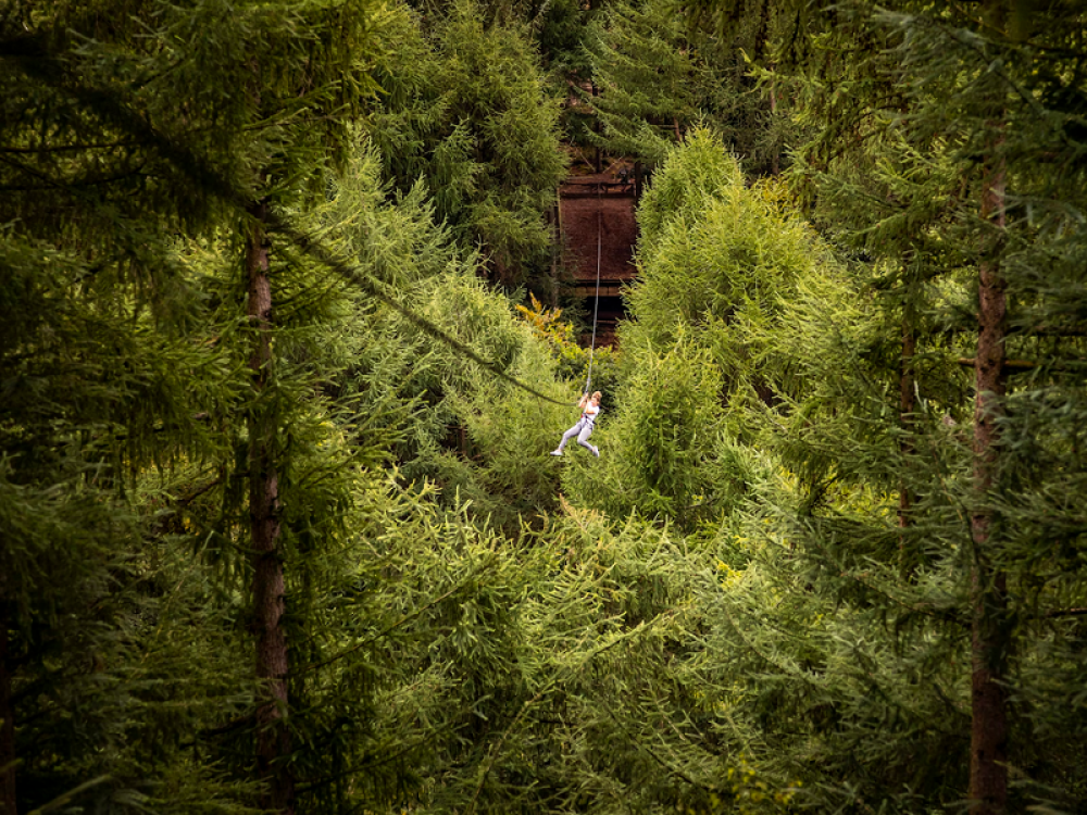 Go Ape
