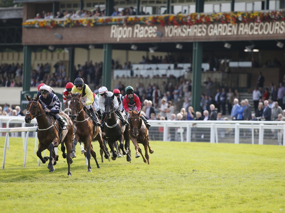 Ripon Races