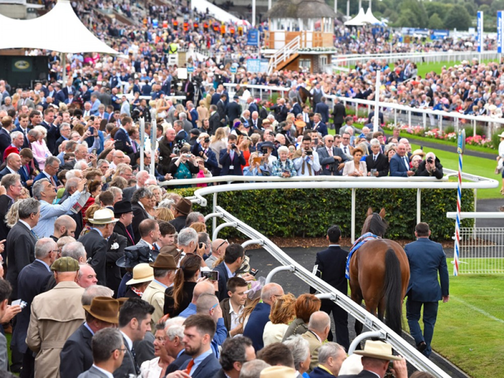York Racecourse