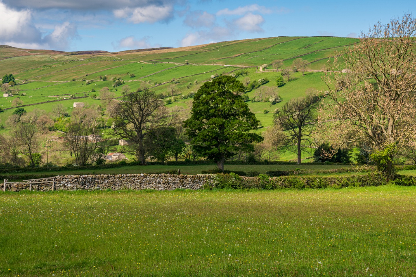 Sunset Over the Dales Guided Walk