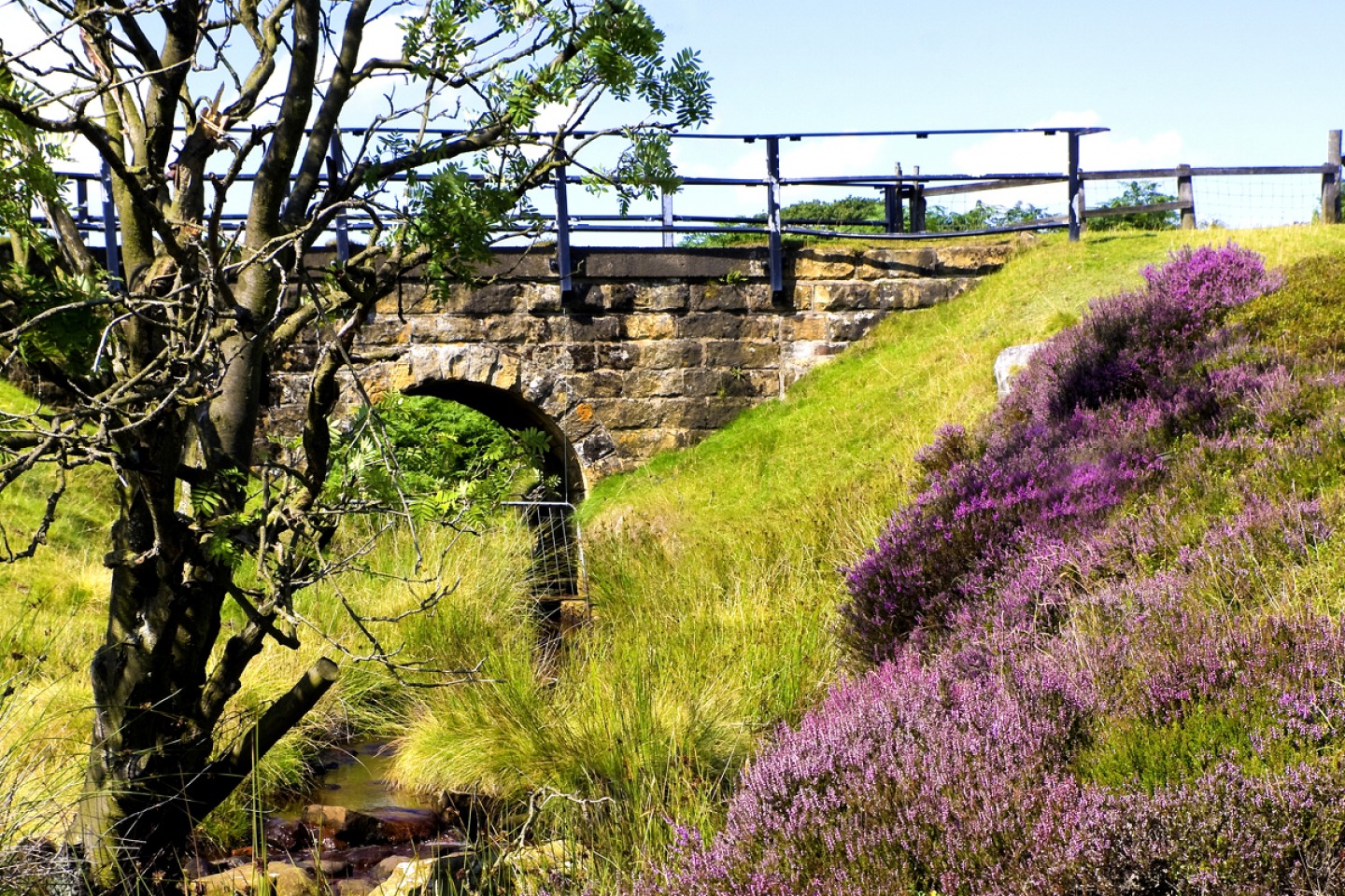 Wild Country and Wildlife Walks