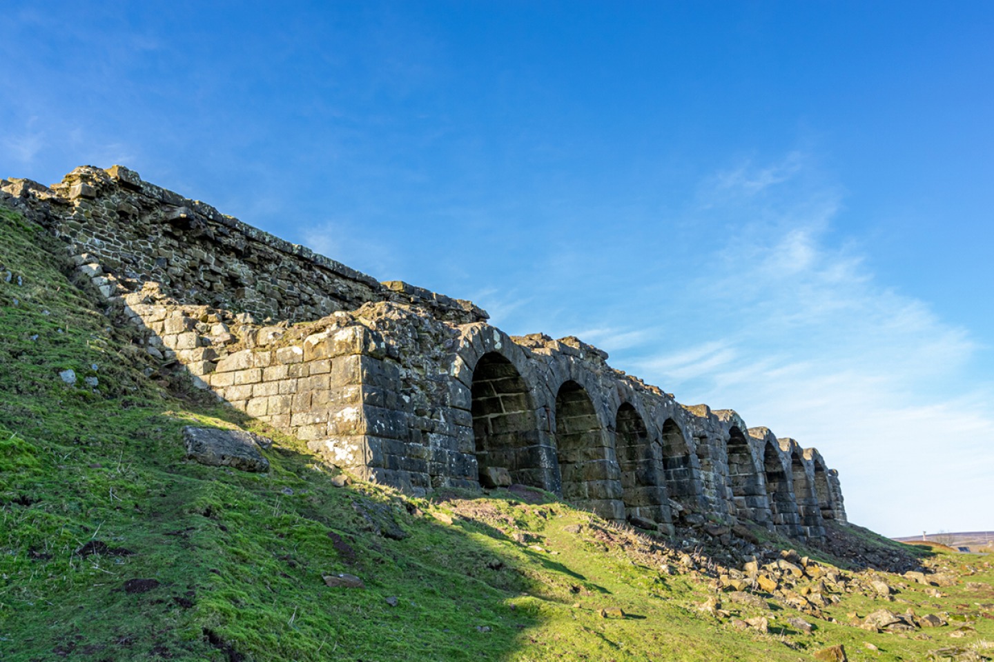 Wild Country and Wildlife Walks