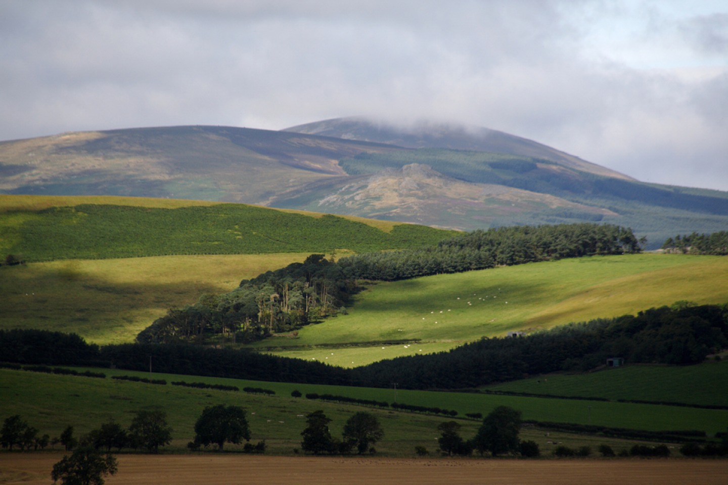 Shepherd Walks