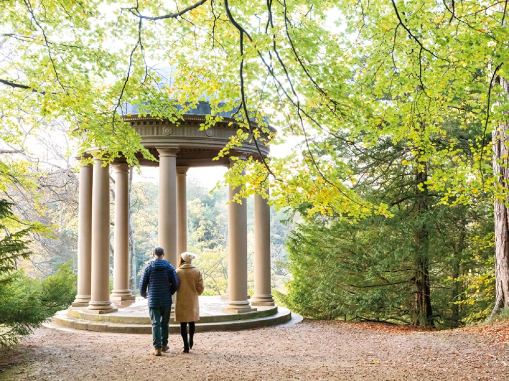 two people walking in a wooden area