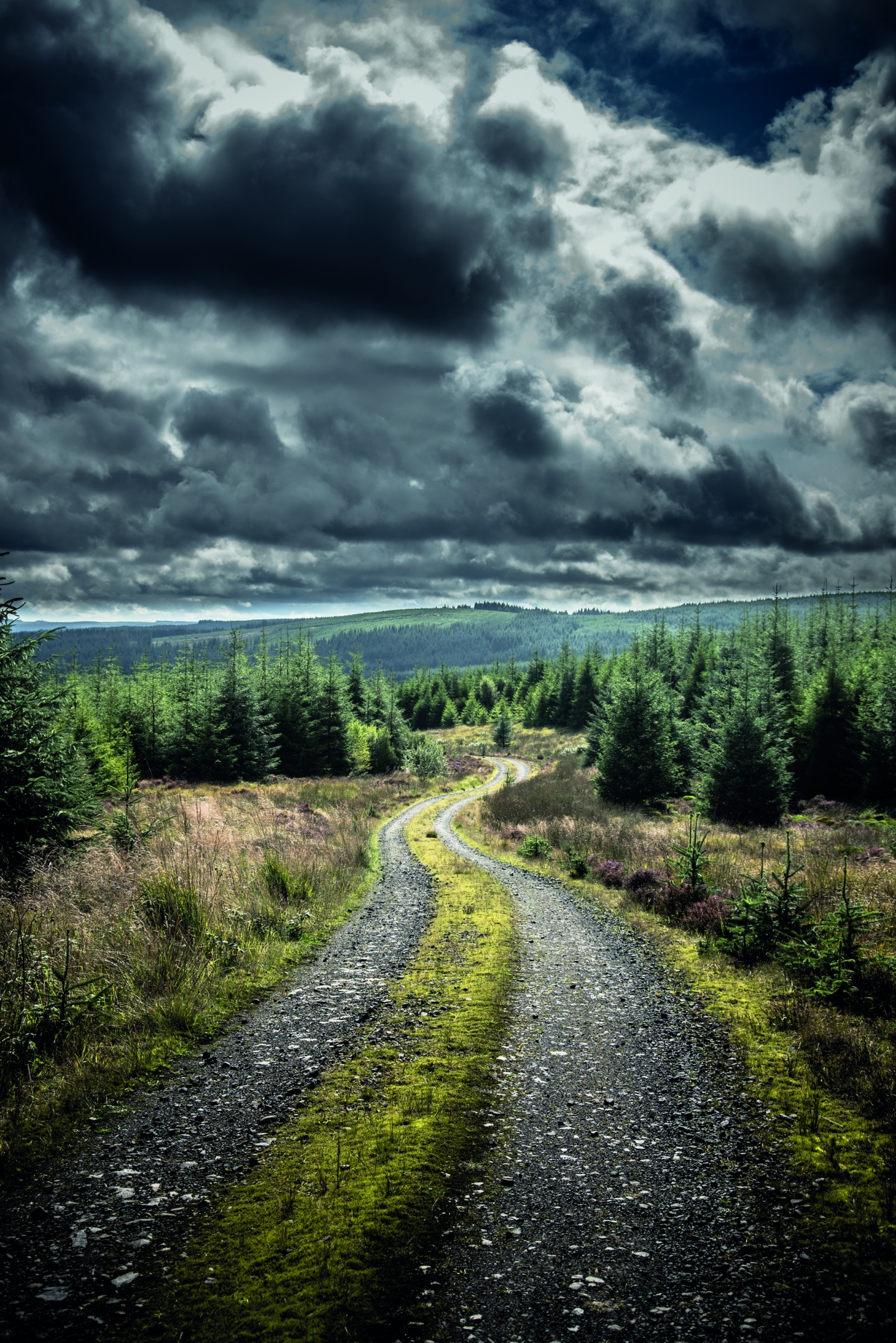 Kielder, Dan May